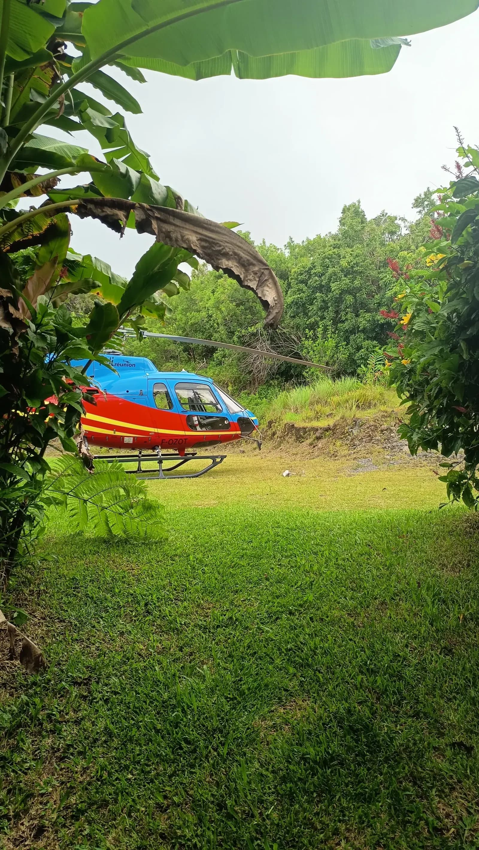 Héli-Rougail au Sud Sauvage – Basse Vallée